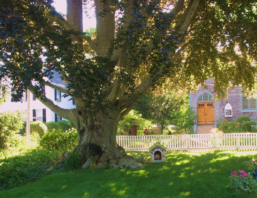 Bed and Breakfast The 1720 House Vineyard Haven Exteriér fotografie