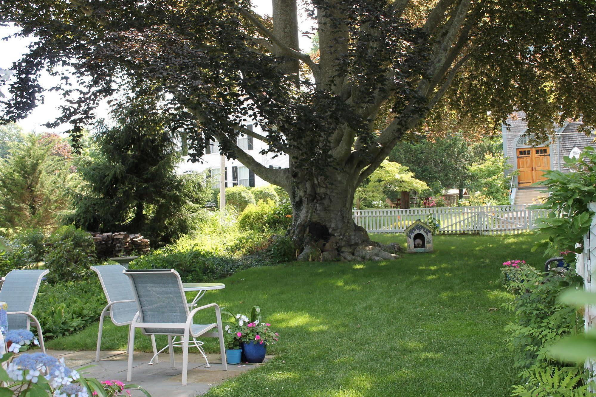 Bed and Breakfast The 1720 House Vineyard Haven Exteriér fotografie